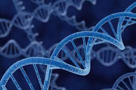 Лікарі виявили критично важливий для імунітету людини ген, який запускає запальні процеси.